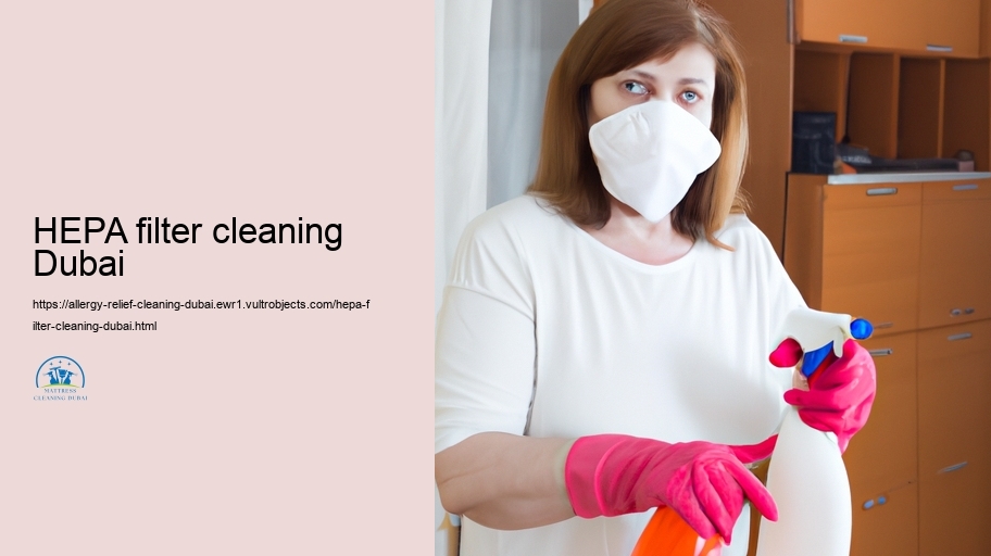 Choosing the Right Allergy Relief Cleaning Organization