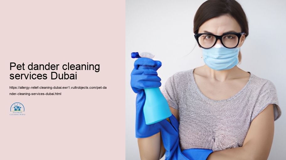 Selecting the Right Allergy Decrease Cleaning company