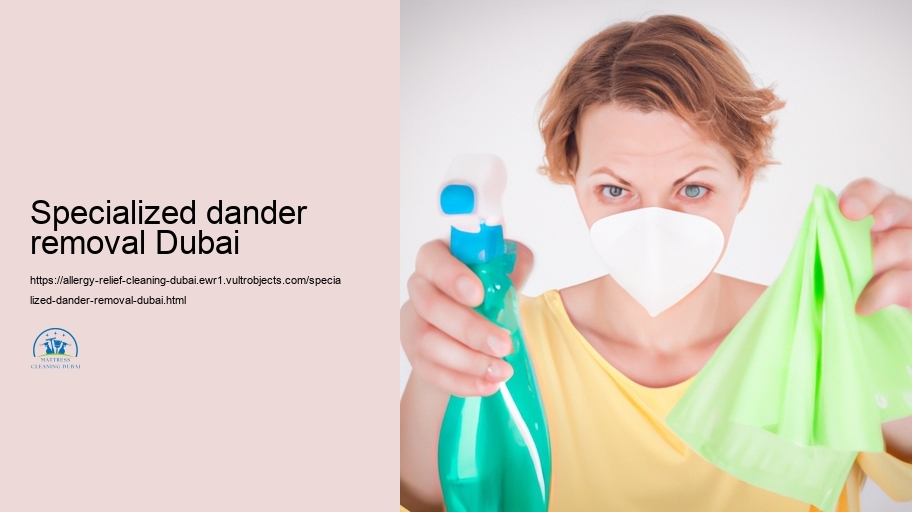 Choosing the Right Allergy Relief Cleaning firm